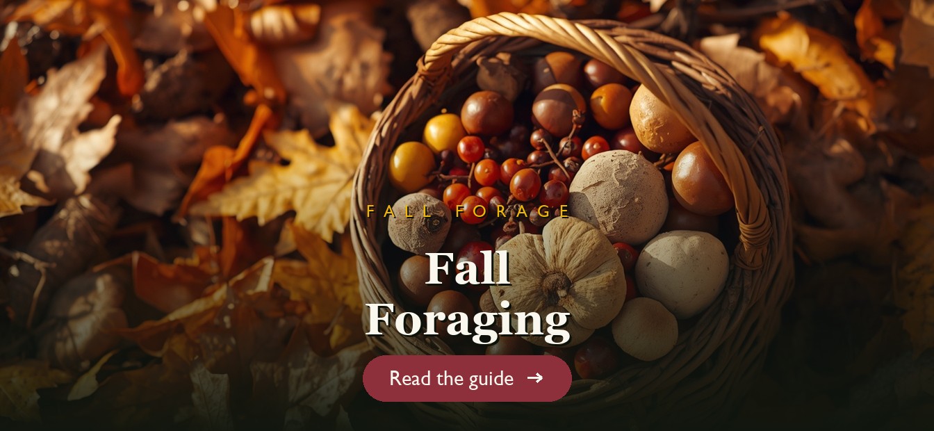 Autumn foraging basket with acorns, rose hips and mushrooms on fallen leaves